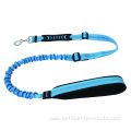 Dog Bungee Leash Material Lights Personalized Padded Feather